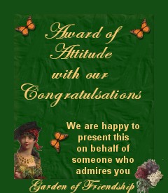 My Award Of Attitude