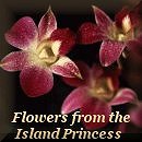 Island Princess Square