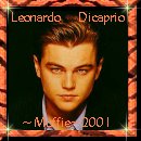 Muffies Leo di Caprios Square