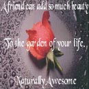 Naturally Awesomes Square