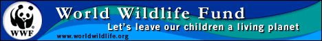 WWF Banner